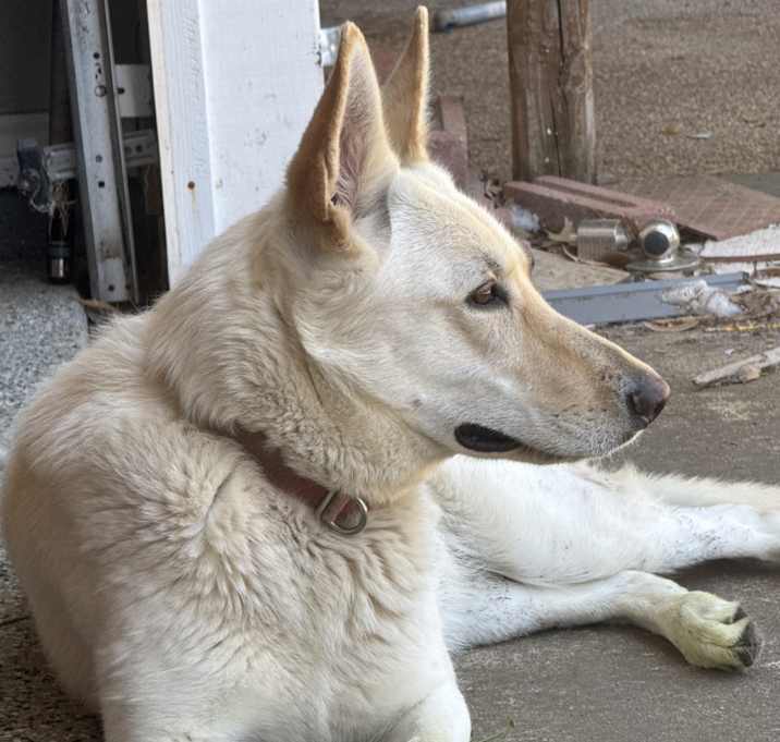 Photo of April