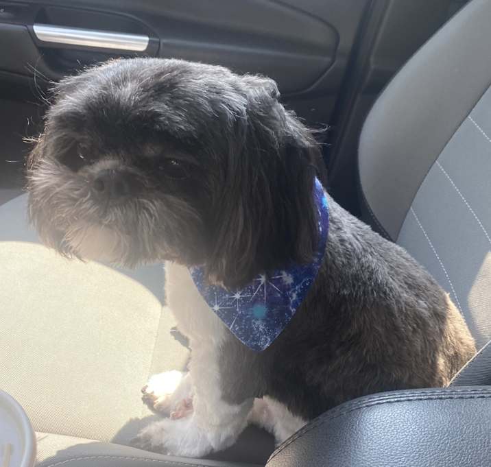 Photo of Duke