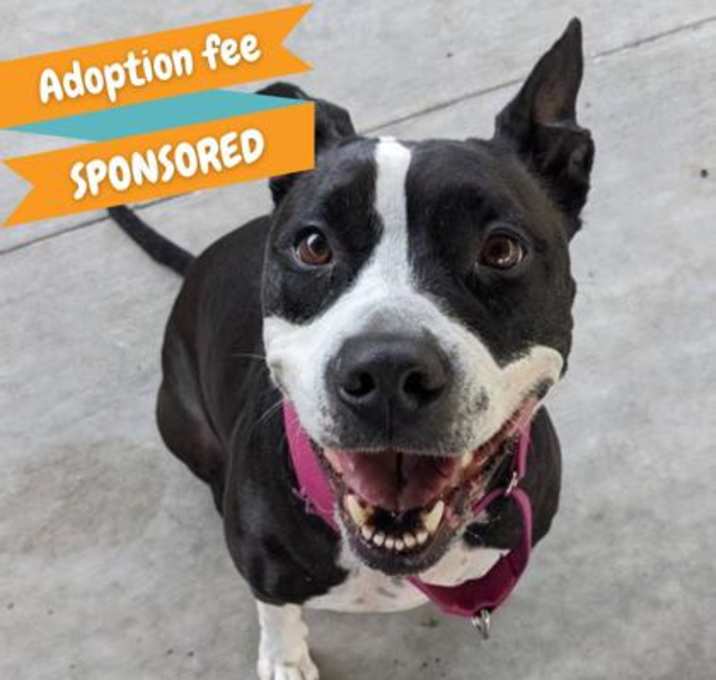 Photo of Shyla