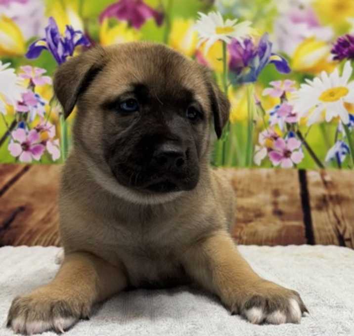 Photo of Tortilla