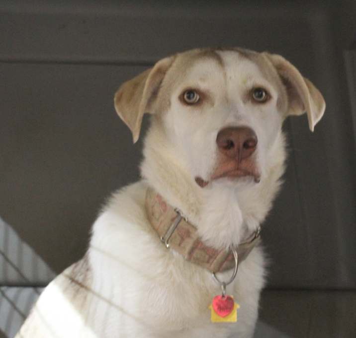 Photo of Bella