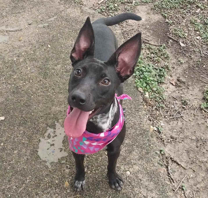Photo of Gonzalez (Layla)
