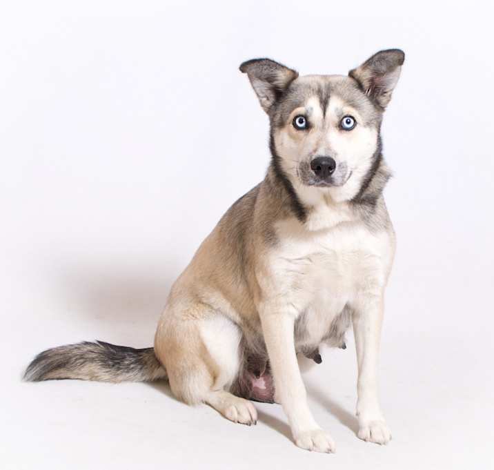 Photo of Skylar