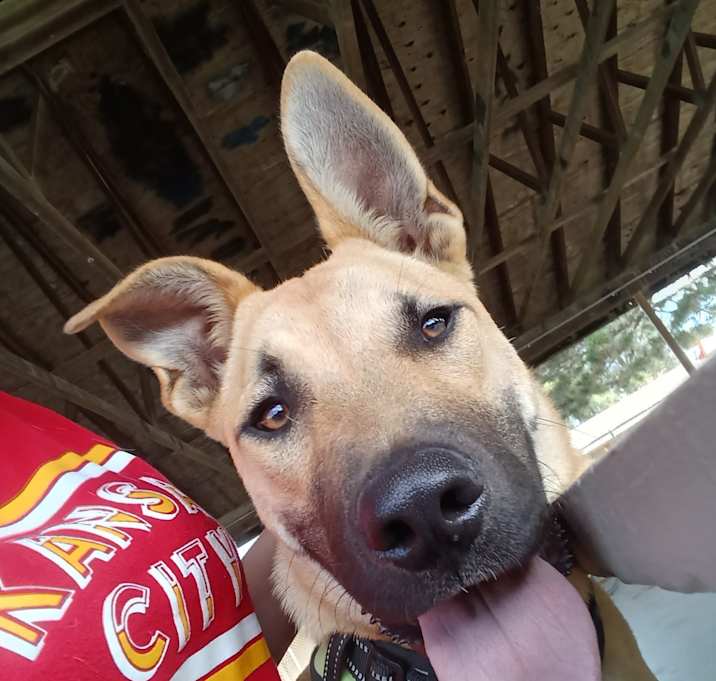 Photo of Odin