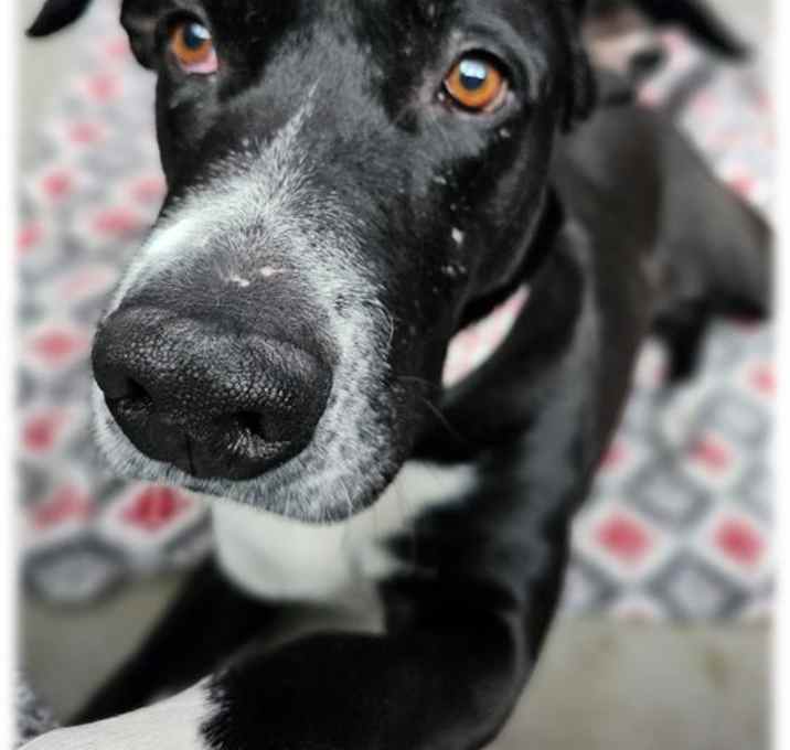 Photo of FAITH
