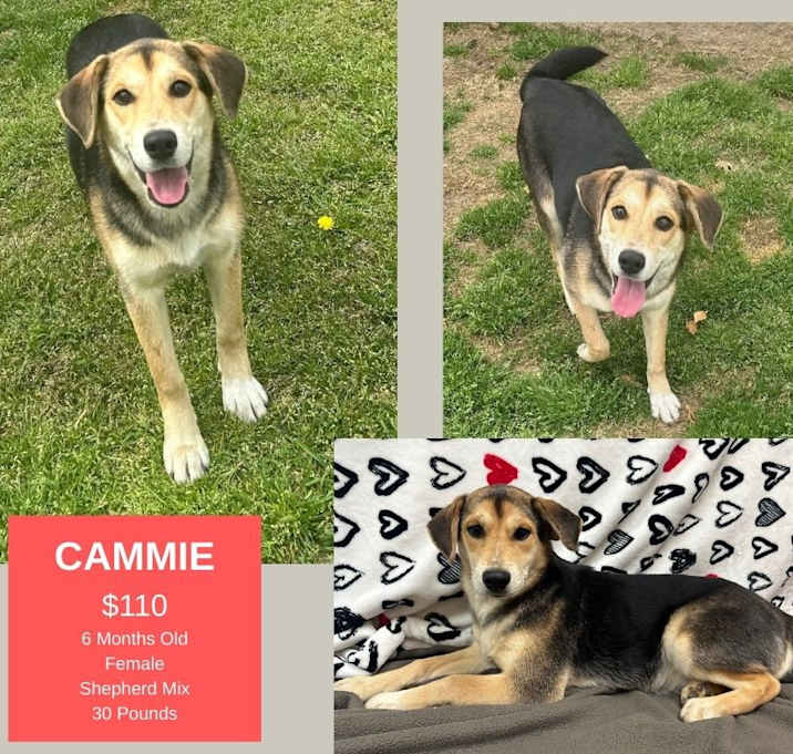 Photo of Cammie