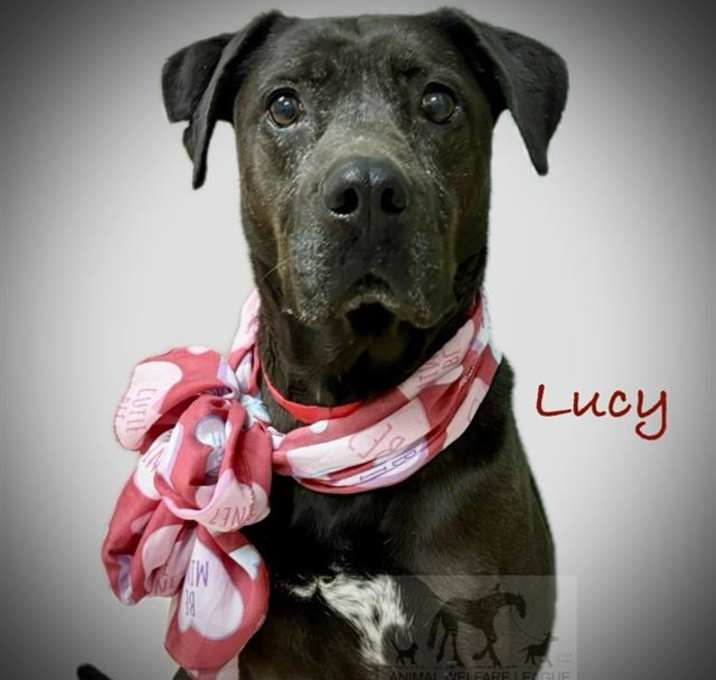Photo of LUCY