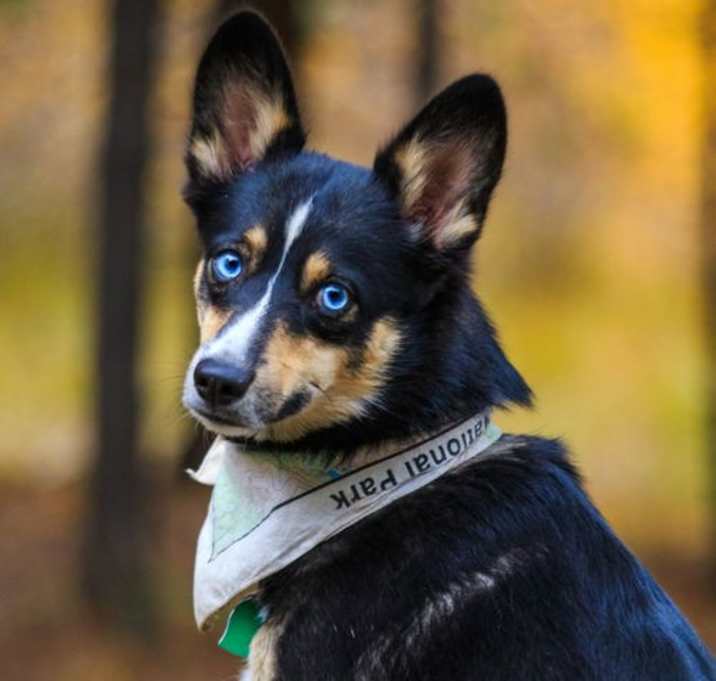 Photo of Echo