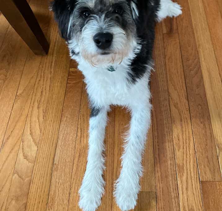 Photo of Butters