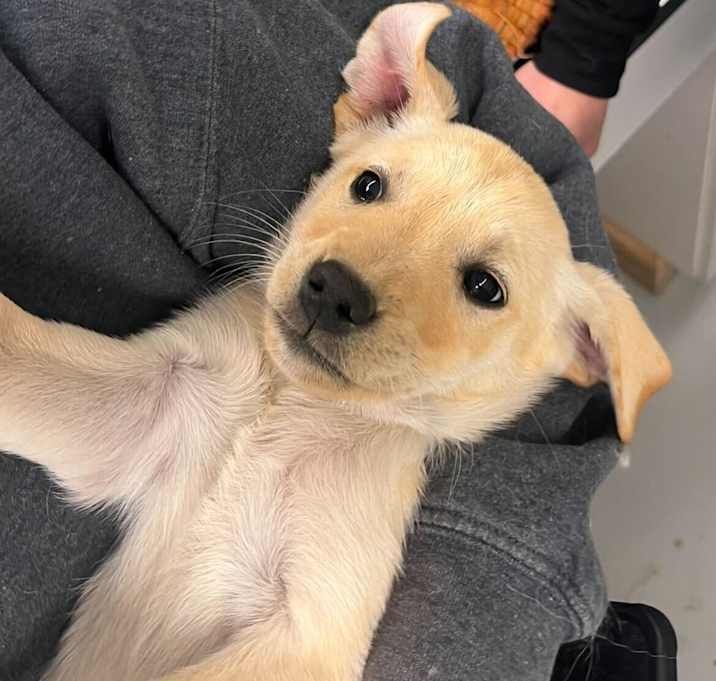 Photo of Chili
