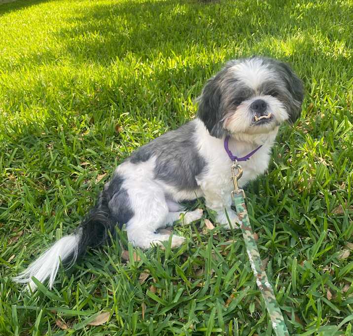 Photo of Wybie