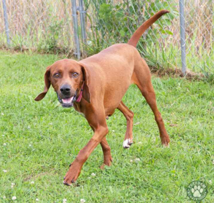 Photo of Miss Red