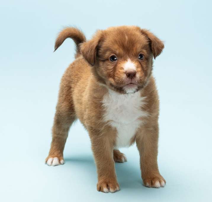 Photo of Snuggles