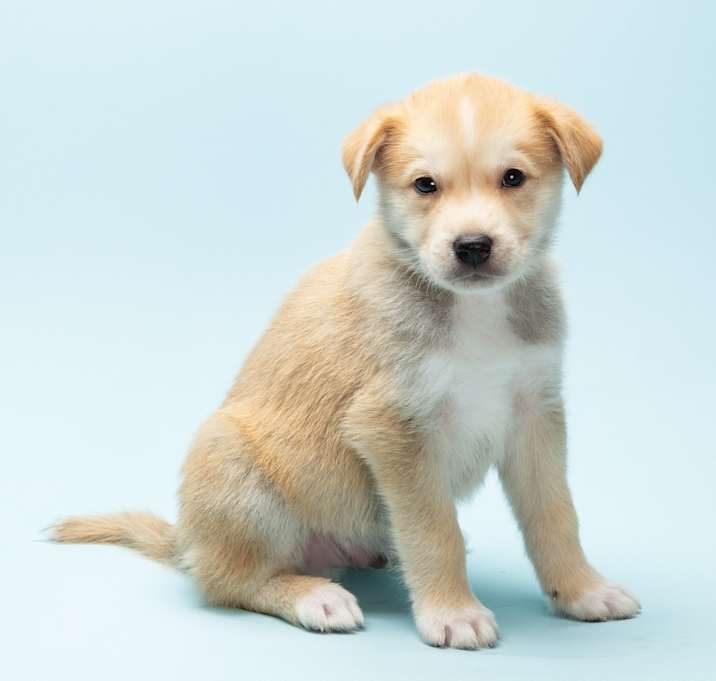 Photo of Cupid
