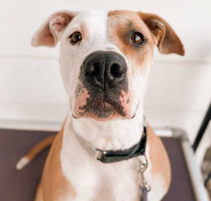 Photo of Sasha