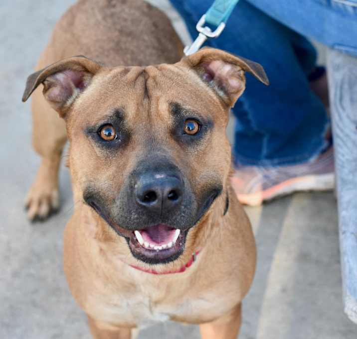 Photo of Clifford