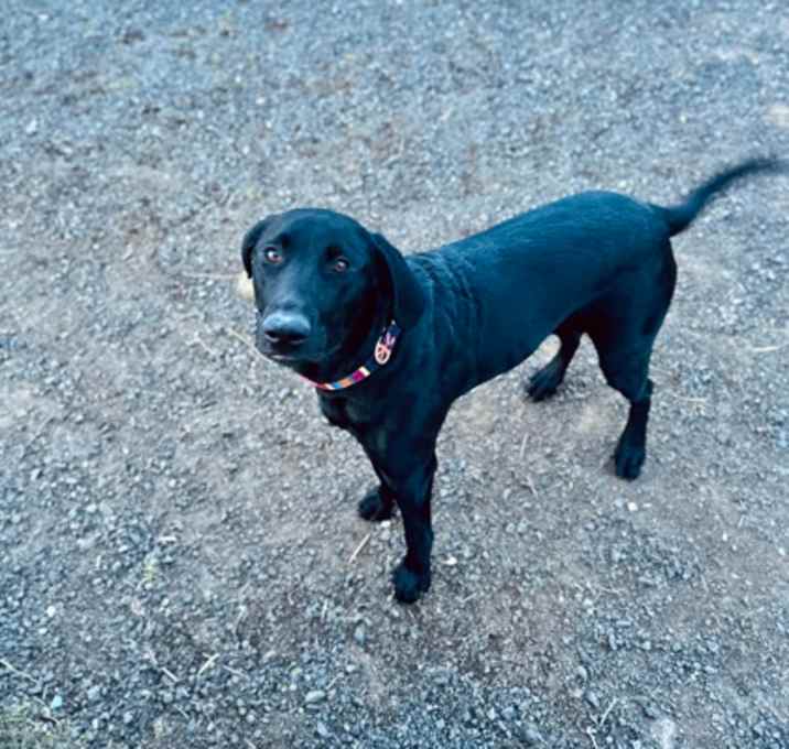 Photo of Jubi