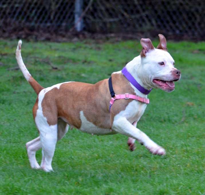 Photo of Athena