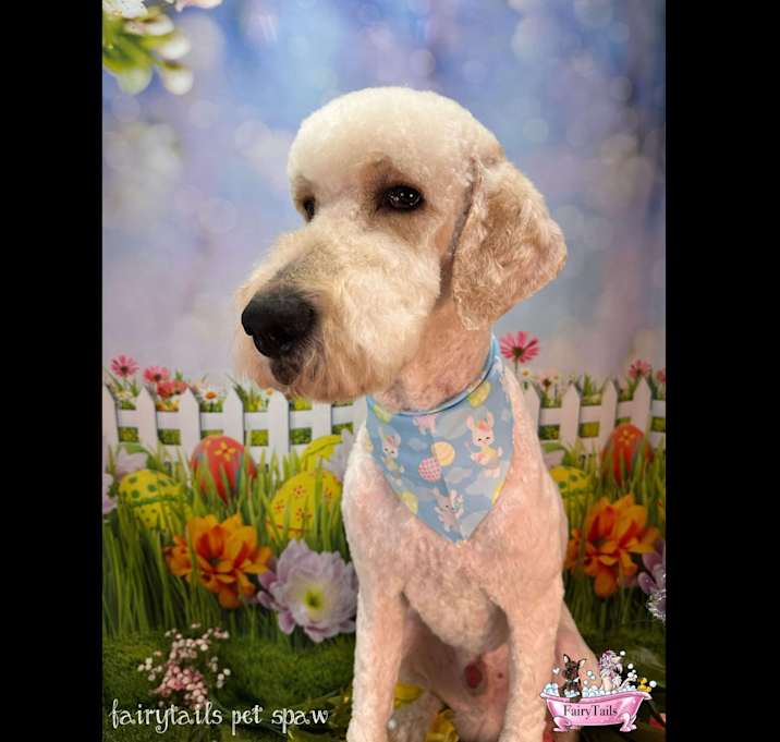 Photo of Oliver