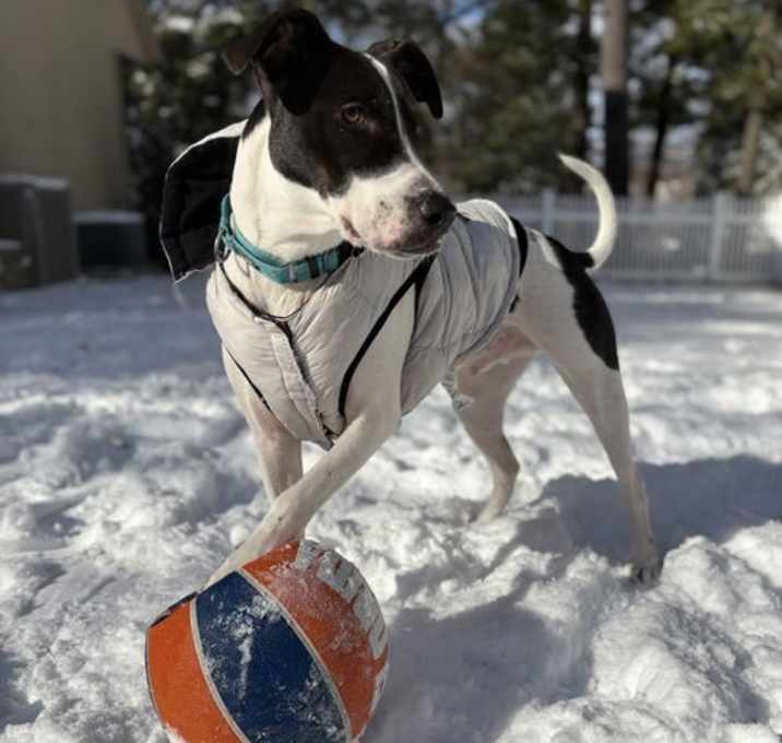 Photo of Rubix