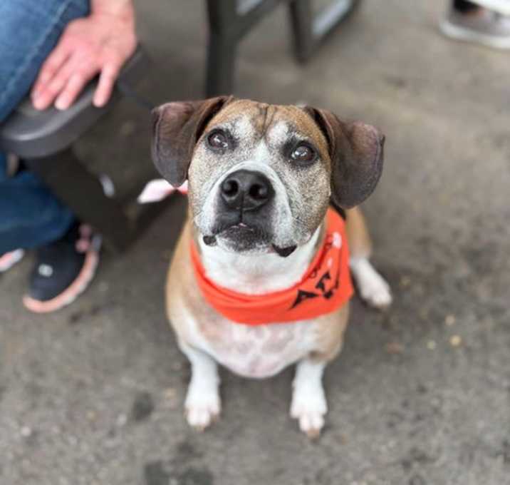 Photo of Roscoe
