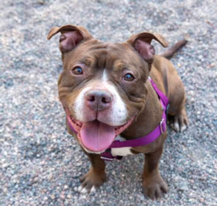 Photo of Coco