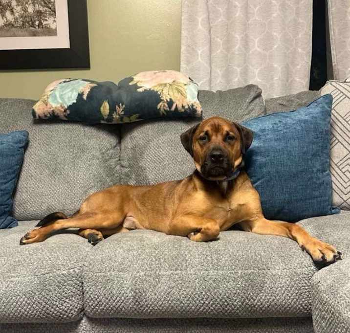 Photo of Odin