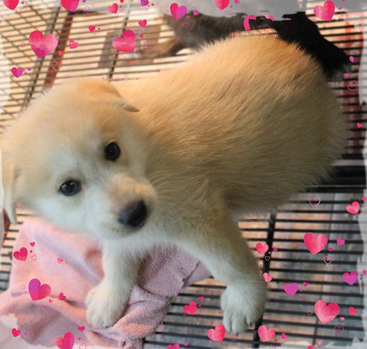 Photo of Darla