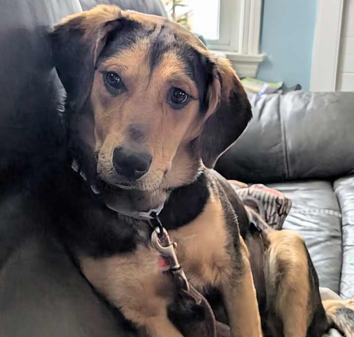 Photo of Lola