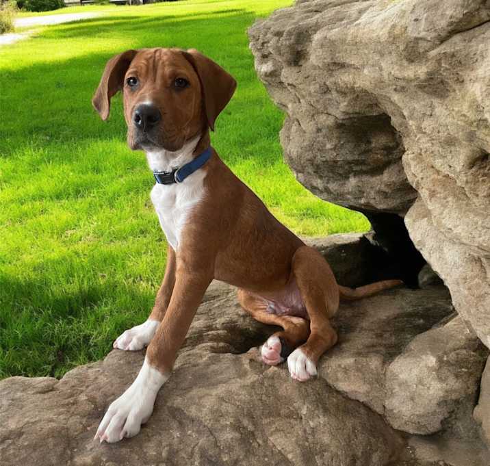 Photo of Reggie