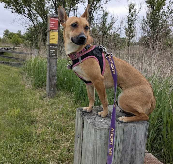 Photo of Roo Roo