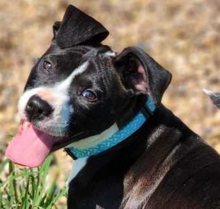 Photo of Evie