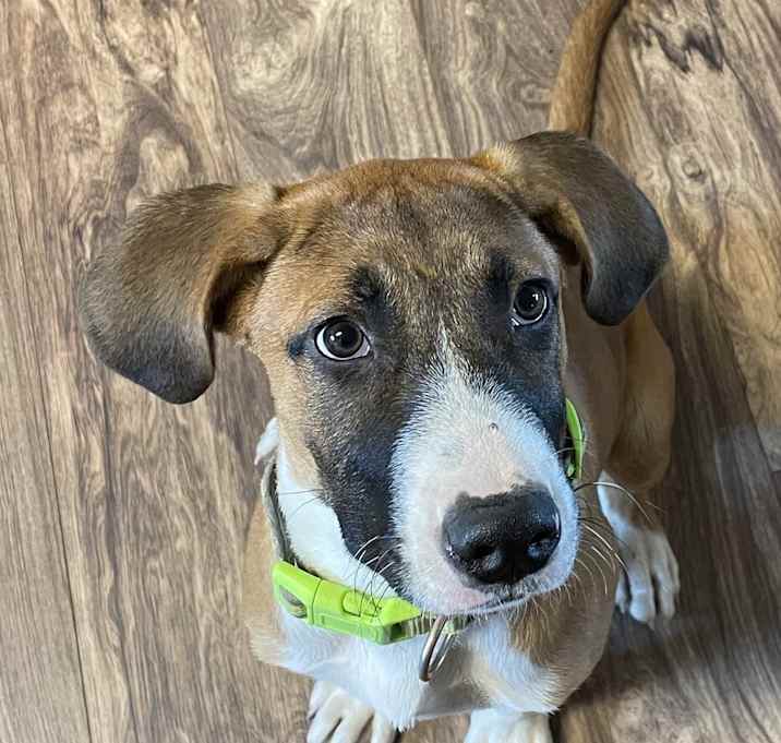 Photo of Aspen