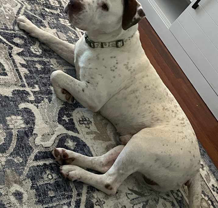 Photo of Buster