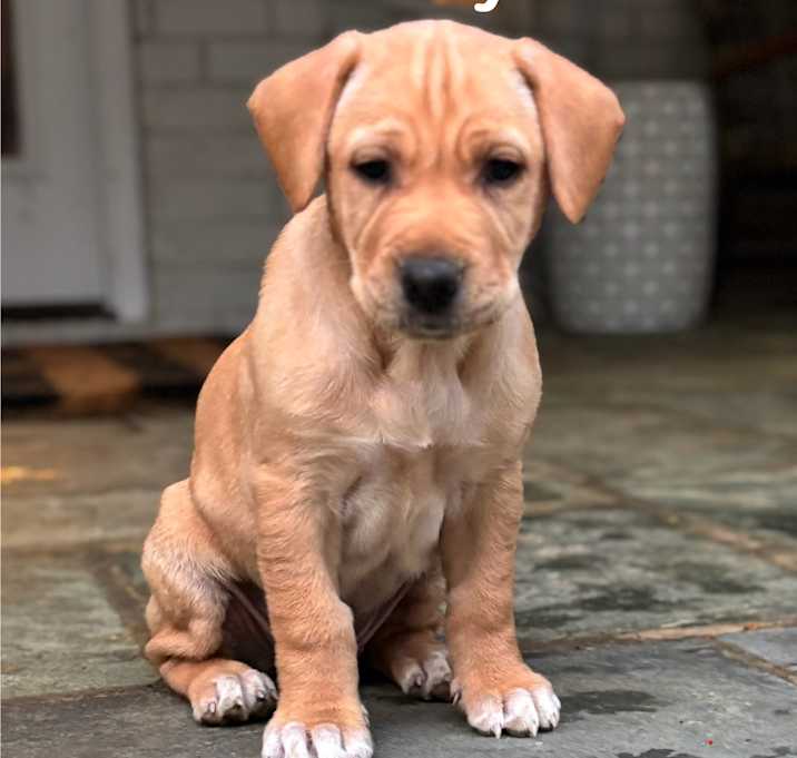 Photo of Lilly