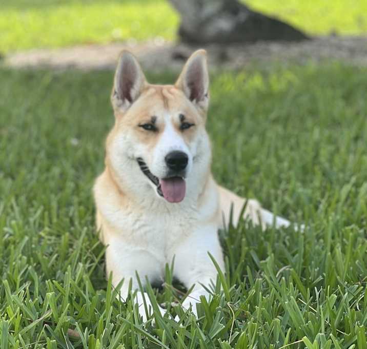 Photo of Bon Bon