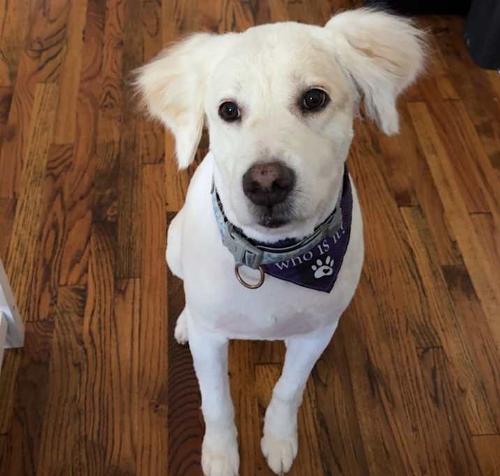 Photo of Luna