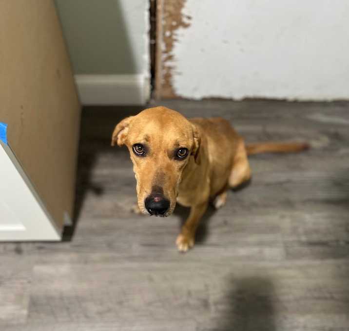 Photo of Sundance