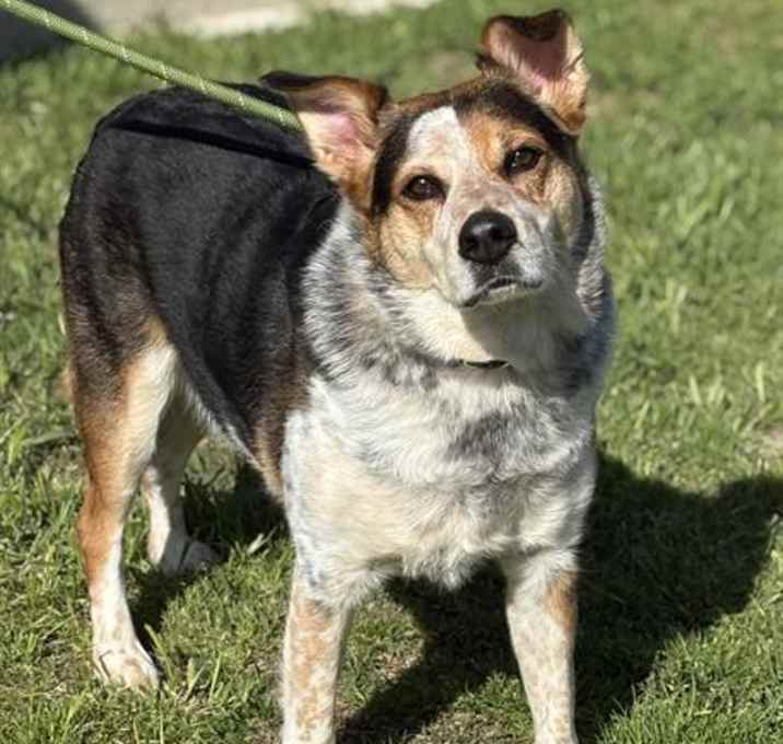 Photo of *BENNY