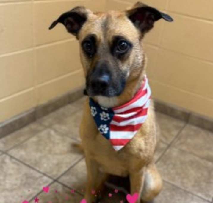 Photo of Wilma 125002