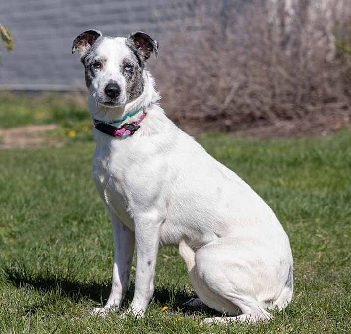 Photo of Xena