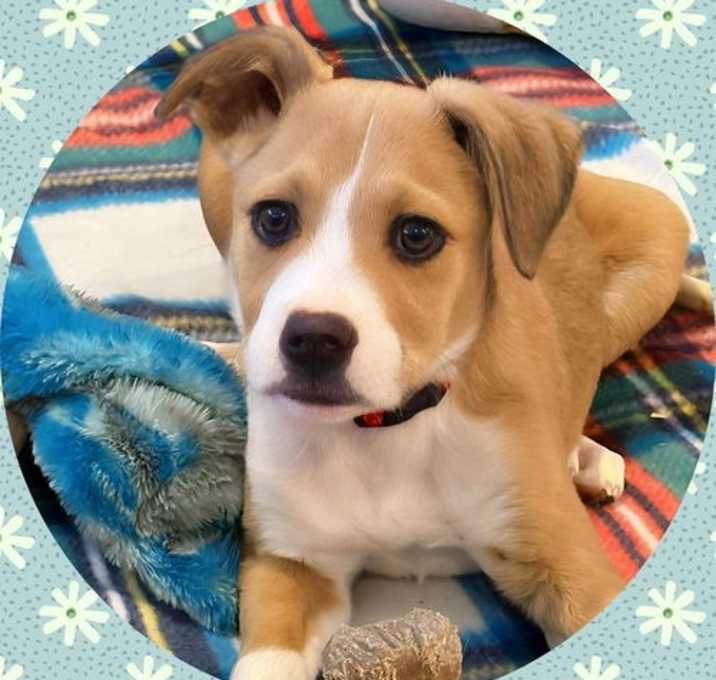 Photo of MYLO