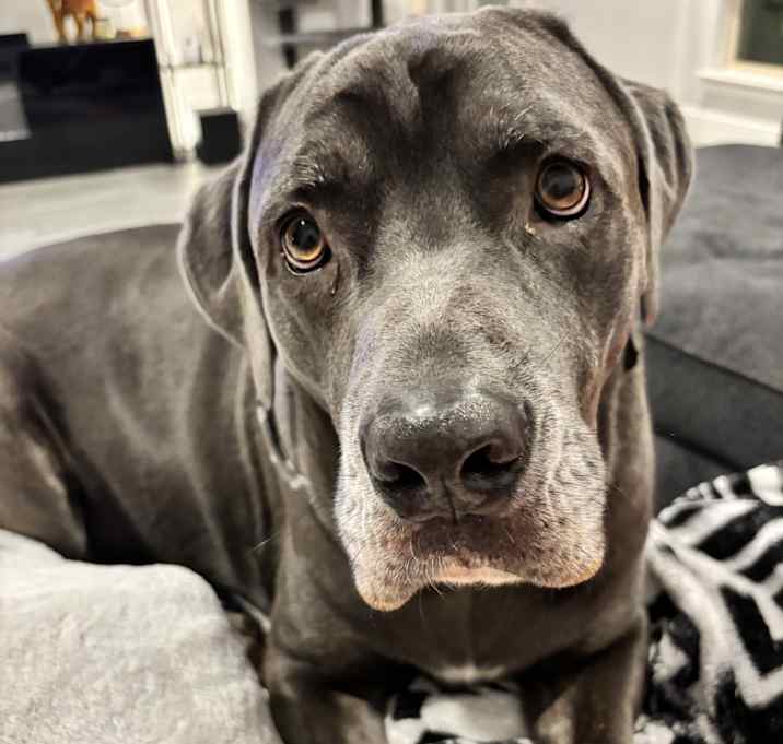 Photo of Zeus
