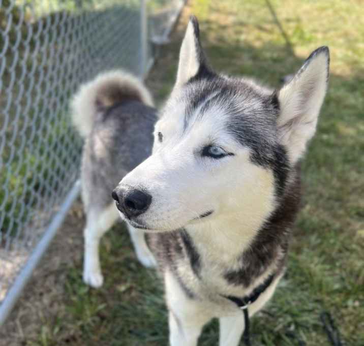 Photo of Umi