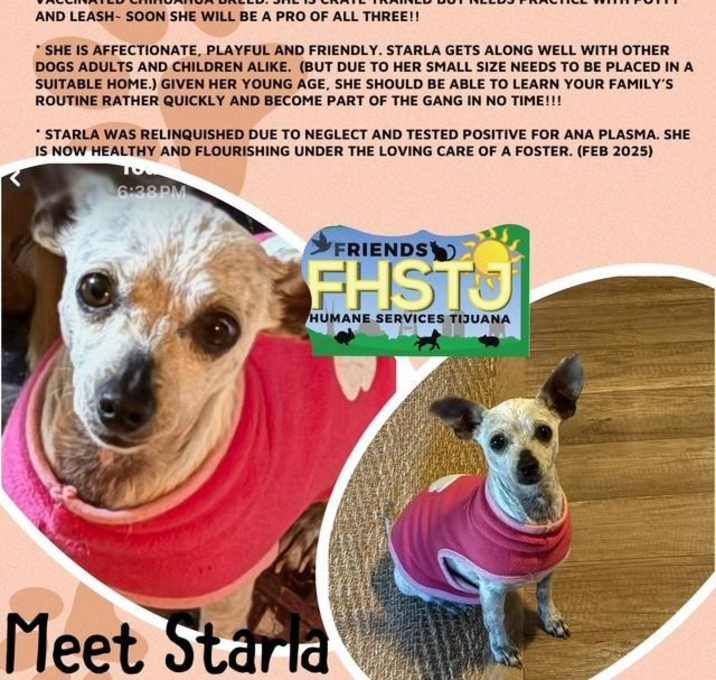Photo of Starla