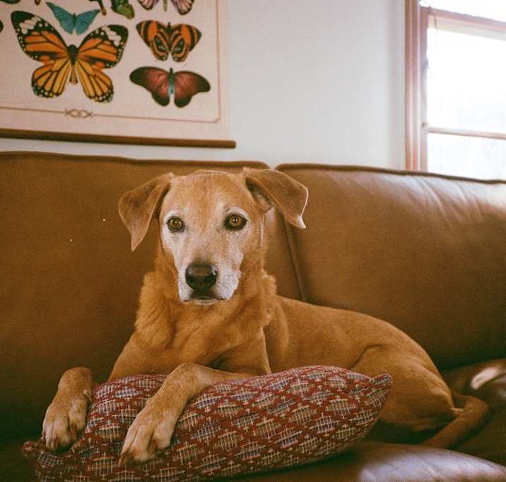 Photo of Ralph