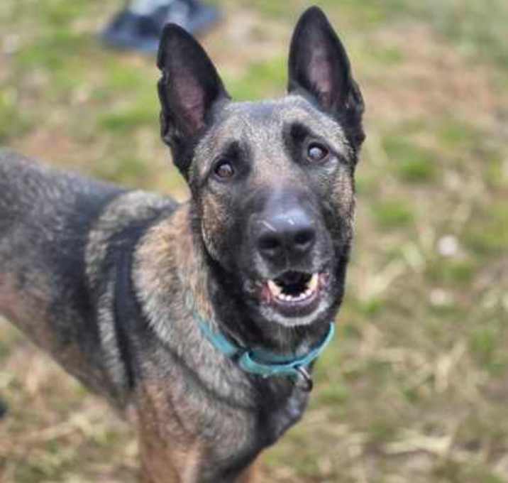 Photo of Thor