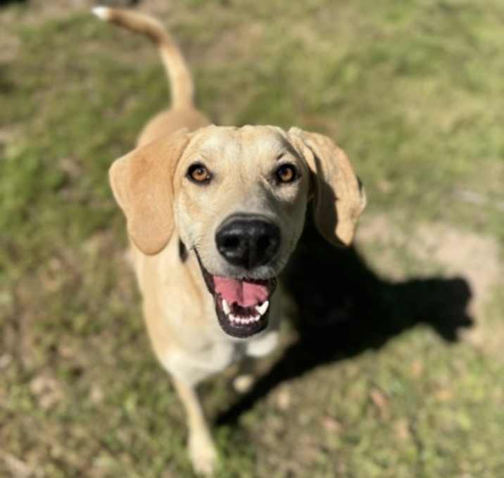 Photo of Rosie