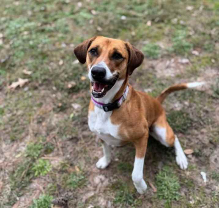 Photo of Tobi