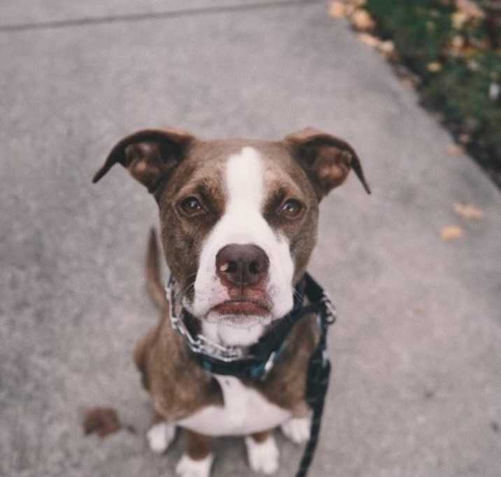 Photo of Quincy